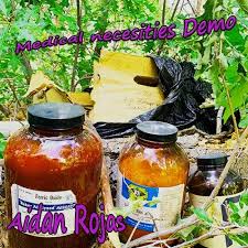 Stream Imma Beat The Shit Out Of Him by Aidan Rojas