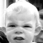 Amphioctopus marginatus also known as the coconut octopus and veined  octopus by Michael AW_AW35308.jpg