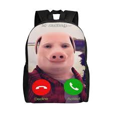 John Pork Is Calling Backpack, Large Capacity Travel Bookbag, Durable  Water-Resistant Laptop Backpack For Work, College, And Daily Use,  16.1x11.8x6.5 Inch