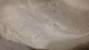 Flour Bugs In Pantry