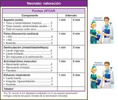 Hacemos Medicina Puntuacion Del Recien Nacido O Test Prueba De Apgar La Prueba De Apgar Es Un Examen Rapido Que Se Realiza Al Primer Y Quinto Minuto Despues Del Nacimiento