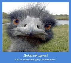 Великобритания передала 180 комплектов бронежилетов и касок украинским военнослужащим - Цензор.НЕТ 1158