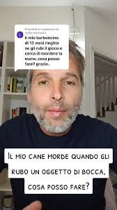 Risposta a @stella.marina63 Il mio cane morde quando gli rubo un oggetto di  bocca, cosa posso fare? #cani #dogbehavior #addestramentocani  #educazionecinofila #addestratorecinofilo ...