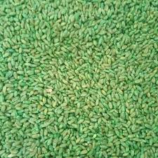 Silakan kamu dapat pilih sesuai selera, dan dapat kamu coba satu persatu sehingga bisa didapat umpan yang pas sesuai. China Bahan Kimia Panas Untuk Umpan Racun Tikus Berkualiti Tinggi Bahan Kimia Panas Untuk Umpan Racun Tikus Pada Bossgoo Com