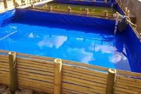 5 Cara Budidaya Ikan Lele Dalam Terpal Bagi Pemula Ilmubudidaya Com