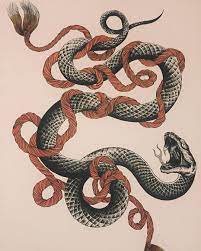 Design Available Tattoo Dotworktattoo Japanesetattoo Dortwork Snake Snaketattoo Design Rope Serpent Japanese Tattoo Dot Work Tattoo Serpent Tattoo