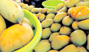 Ada juga buah harum manis tiruan. 24 Pusat Pengumpulan Harum Manis Dikenal Pasti