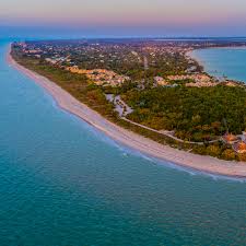 Image result for Sandy Beach Brown 2011 Captiva