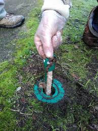 Detec Bois Traitement Des Termites Par Pieges Et Maintenance