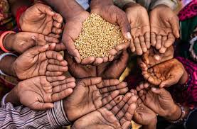 Military war colleges and command and staff colleges, as well as several of the national educational institutes, including national war college, the eisenhower school, joint forces staff college, national. Fao In Search Of Partnerships Willagri Comprendre Les Enjeux De L Agriculture