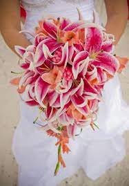 We have found 9 gorgeous tropical wedding bouquets to use as inspiration when discussing the bridal bouquet with your florist or wedding planner. Tropical Bridal Bouquets Arabia Weddings