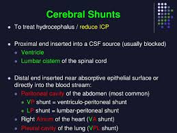 Ppt Vp Shunts Powerpoint Presentation Free Download Id 3387790