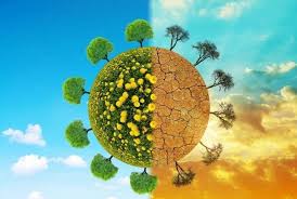 The effect of such environmental factors may either be positive or negative. Methods And Importance Of Environmental Conservation Conserve Energy Future