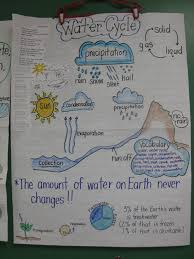 staar review anchor chart and a perfect diagram for the smc