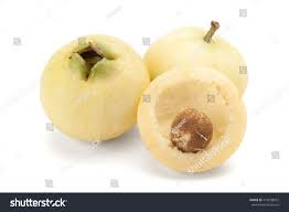 Image result for Syzygium jambos
