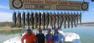 This page ranks weight records caught by rod & reel, fly rod and bow fishing. Lake Buchanan Striper Fishing Guide Fernandez Guide Service