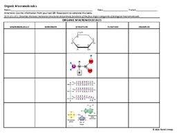 Where did jane doe have her last supper? Macromolecule Worksheet Teachers Pay Teachers