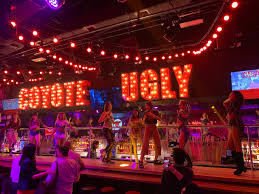 What do you feel like today? Coyote Ugly Saloon At Clarke Quay Singapore Tgh Photography And Travel Portal Blog