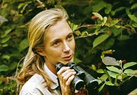 Ellas hacen ciencia: el legado de Jane Goodall inspira a nuevas  generaciones – Instituto Jane Goodall España