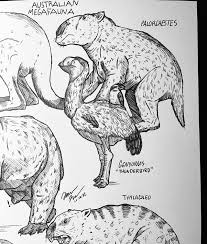 Image result for Megaloprotachne