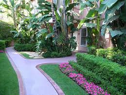Beverly Hills Hotel Landscape Outside The Bungalows Hotel Landscape Beverly Hills Hotel Landscaping On A Hill