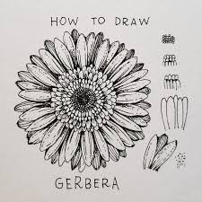 This doesn't have to be straight—after all, no two flowers look exactly the same! Alice On Instagram Gerbera Today S Flower Gerbera Step By Step It Could Seem Difficult But Sunflower Drawing Flower Art Drawing Floral Drawing