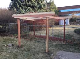 Image result for pruning grapes on a pergola