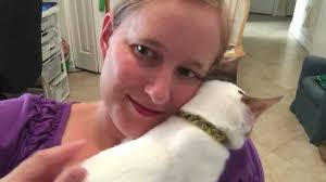 Meet Butterbeer. He is absolutely delicious. This sweet boy is new to the  cat room and already doing well with the other cats. We think he'll do well  with a dog after