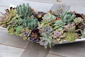 If you've crafted your paper succulents and air plants and you're wondering where to some of my other unique diy succulent arrangements are in this video, too. 10 Ways To Make Magic With Succulent Centerpieces