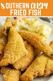 Southern Fried Fish Recipe Catfish Recipes Fried Catfish Recipes Fried Fish Recipes