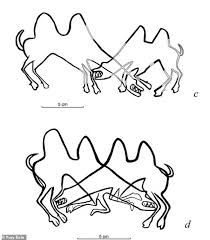 Etchings Of Fighting Camels Are The Earliest Ever Drawings Of The Animal In Asia Daily Mail Online Experiment with deviantart's own digital drawing tools. etchings of fighting camels are the