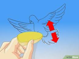 Gambarlah belah ketupat miring ke sebelah kanan sebagai panduan untuk membentuk tubuh burung merpati yang sedang terbang. Cara Menggambar Burung Merpati 15 Langkah Dengan Gambar