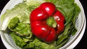 Am besten gelingt das entfernen der haut mit einem sparschäler. Regenmantel Waschen Hausmittel Tipps Frag Mutti