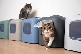 The 5 Best Cat Litter Deodorizers - Cats.Com