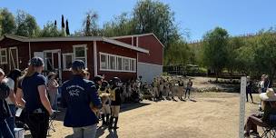 Horse Camp: Olympics
