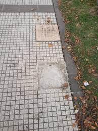 Repudio al vandalismo sobre una baldosa por la Memoria | 103.9 fm