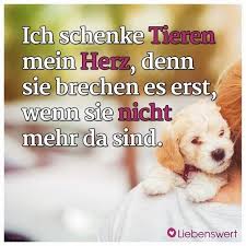 Spruche Fur Tierliebhaber Spruche Tiere Spruche Tierliebe Zitate Tiere