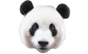 Include educational fun facts and puzzle image for reference. Amazon Com Madd Capp Puzzles I Am Panda 550 Pieces Animal Shaped Jigsaw Puzzle Toys Games