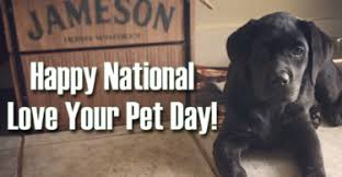 50 funny memes & quotes everyone who loves their pet can relate to. World Day Of Social Justice 2020 Theme And Significance Of The Day