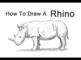 How To Draw A Rhinoceros Youtube Rhinoceros Drawings Rhino