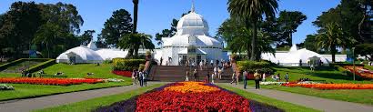 The conservatory of flowers, located in golden gate park, transports you from the city to a tropical rain forest, minus. Test Conservatory Of Flowers