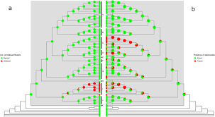 Image result for Monanthotaxis orophila