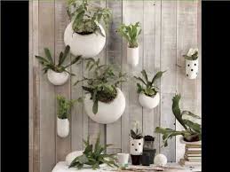 Hanging planters are perfect for small, compact spaces, as it taps into the vertical planting trend; Indoor Wall Hanging Plants Indoor House Or Office Plants Picture Collection Youtube