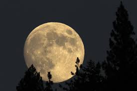 Hochwertige und bezahlbare, lizenzfreie sowie lizenzpflichtige bilder. Warum Kann Man Bei Vollmond Schlechter Schlafen Geo