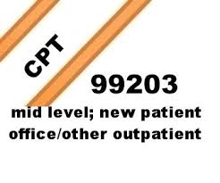 Cpt 99203 New Patient Office Outpatient Coding Lecture Work