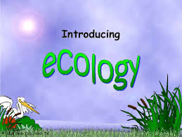 Biotic And Abiotic Factors In An Ecosystem Slideshare Ecosystems Biotic And Abiotic Factors