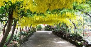Bodnant Gardens Wales Go When These Are In Bloom Famous Gardens Magical Places Months In A Year