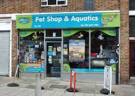 Several places were found that match your search. All Pets Pet Shop Reptile Pet Store London United Kingdom 56 Photos Facebook