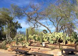 Ethel m chocolates' breathtaking botanical cactus garden is nevada's largest and one of the world's largest collections of its kind. Red House Garden The Ethel M Chocolate Factory S Botanical Cactus Garden