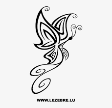 Aneka gambar sketsa hewan terlengkap 2019 dp bbm sumber : Gambar Gambar Tato Kupu Kupu Free Transparent Png Download Pngkey